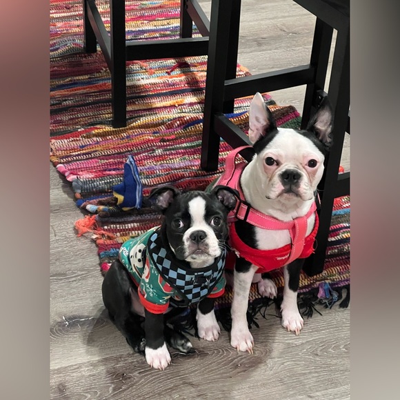 Meet your Posher, Lori - Picture 13 of 16